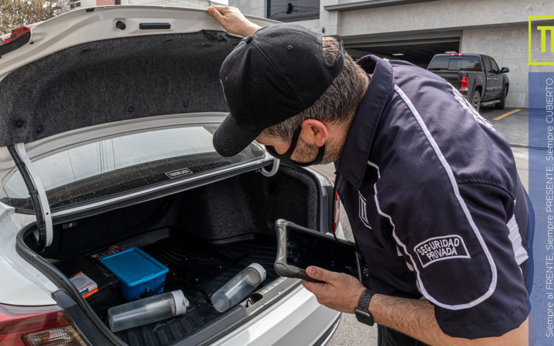 Perfil delictivo de robo vehicular en Monterrey